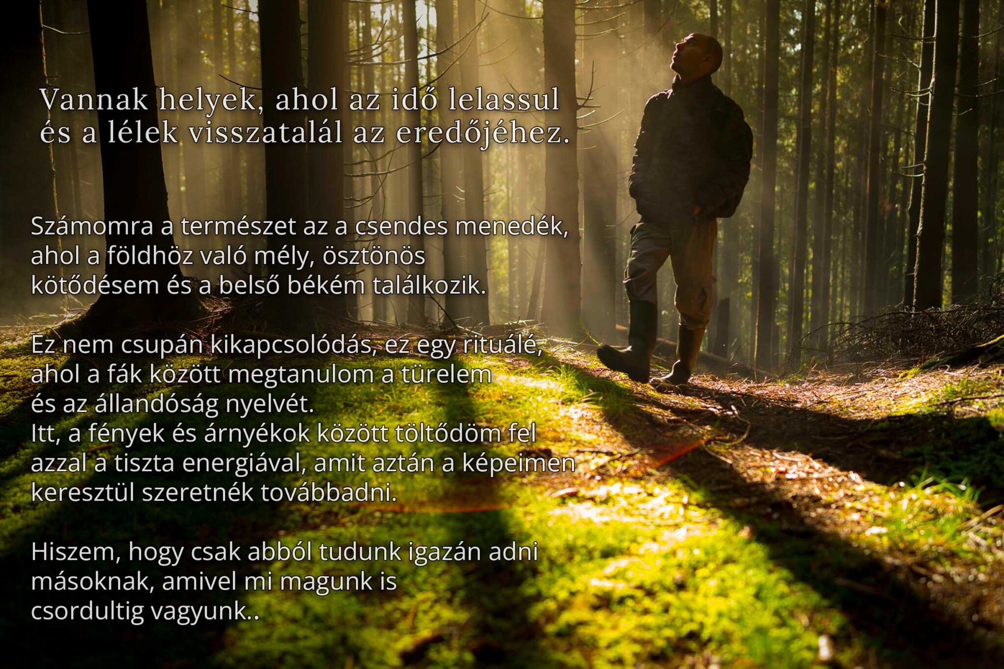 Hangulatos fotó egy erdőben álló, fényekbe néző férfiról a beszűrődő napfényben, rajta a természet és a belső béke kapcsolatáról szóló magyar nyelvű idézettel – a FotoFilo művészi hitvallása.